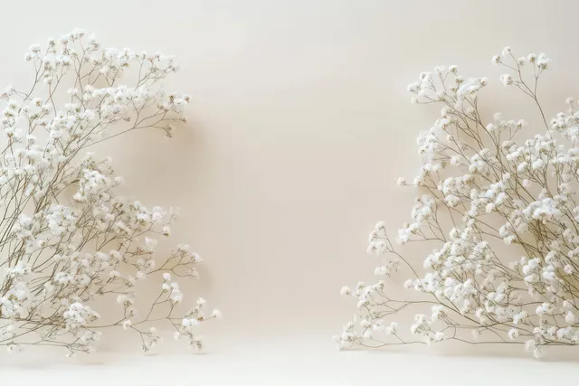 White baby's breath branches frame a soft beige background with delicate small blossoms and thin stems.