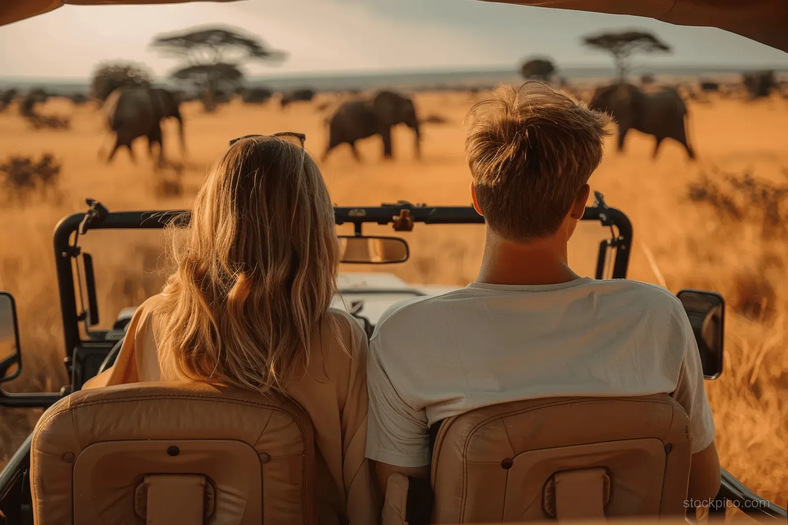 A couple sits in an open safari jeep watching elephants across a golden savanna.