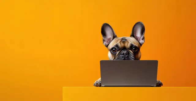 A French bulldog sits at a desk using a laptop against a bright orange background in a simple home office scene.