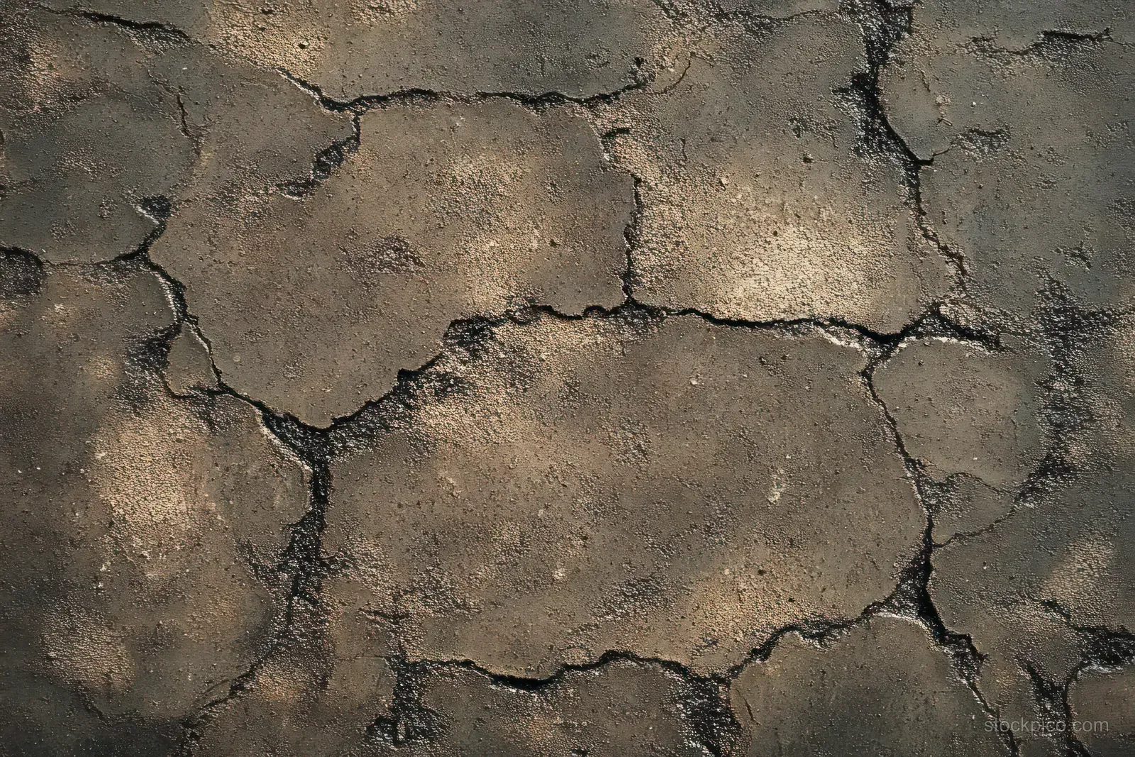 Dry cracked earth soil surface with deep fissures and rough brown texture.