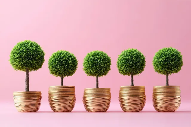 Five small green topiary trees in woven golden pots on a pink studio backdrop