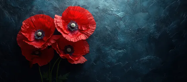 Red poppy flowers on dark textured background with soft glow remembrance symbol