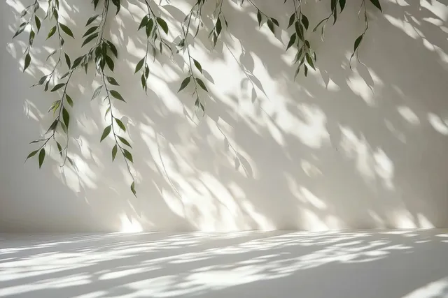 Green leaves cast soft shadow patterns on an off-white wall and surface.