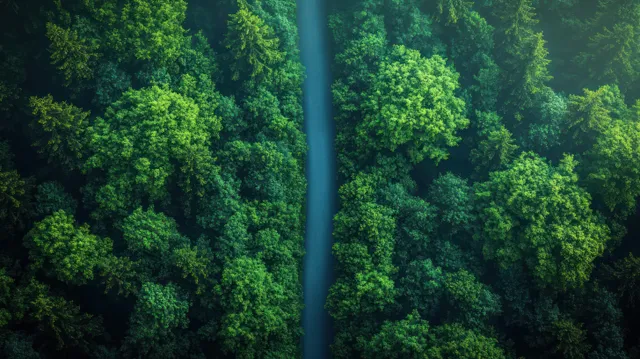 An aerial view shows a winding asphalt road with an electric car traveling through dense green forest canopy.