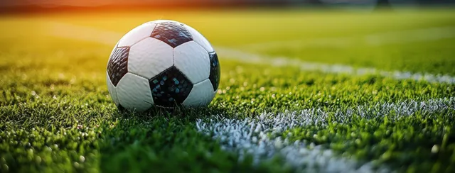 Black-and-white soccer ball resting on green grass beside a white field line in warm sunlight.