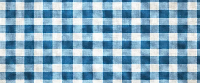 Close-up of blue and white checkered woven fabric with evenly spaced square pattern.