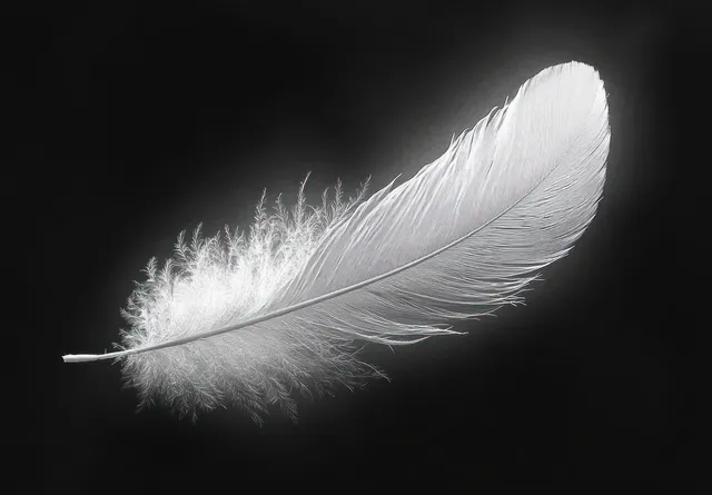 A single white feather floats on a black background with soft light.