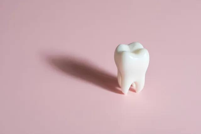 Single white tooth model on smooth pink background with soft side shadow