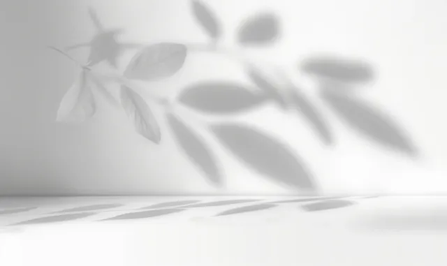 Soft blurred leaf and branch shadows cast on a white wall and tabletop.