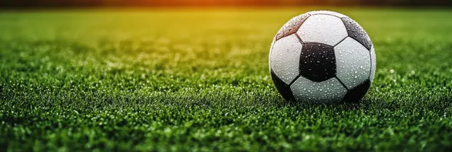 A soccer ball rests on dewy green grass in warm natural sunlight.