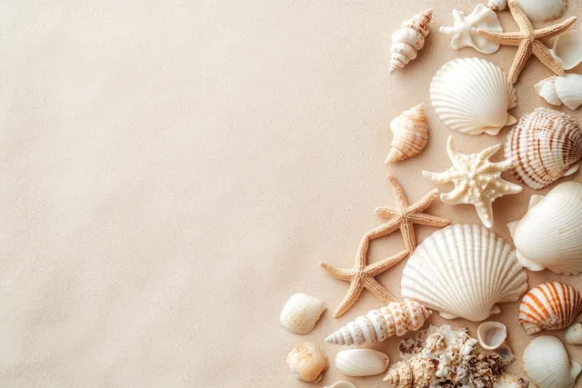 Top-down sand background with seashells and starfish forming a corner border for summer travel design.