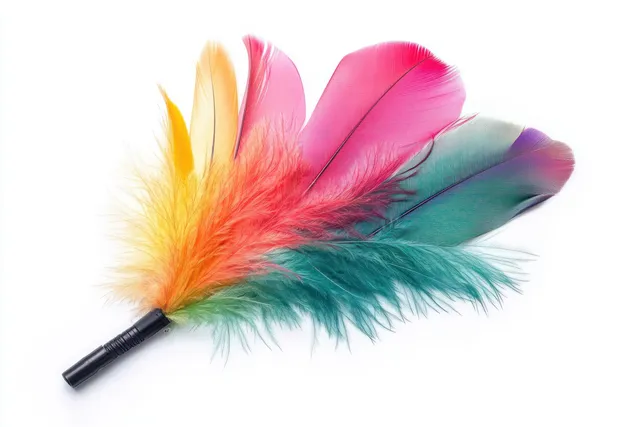 Colorful feather duster cat toy with black handle on clean white background