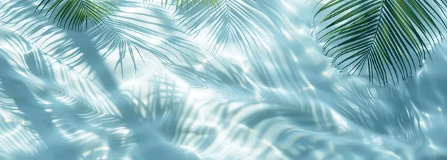 Palm leaf shadows fall over rippled light blue water in a bright tropical beach background.