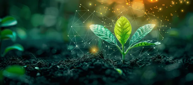 A green sprout grows in soil with glowing network lines and sunlight behind it.