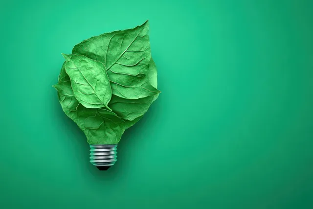 A crumpled green leaf shaped like a light bulb sits on a solid green background.
