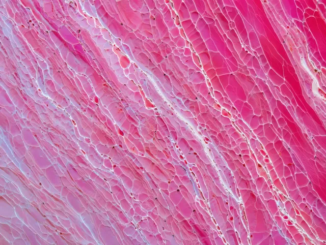 Macro close-up of a pink cracked layered surface with delicate white fracture lines.