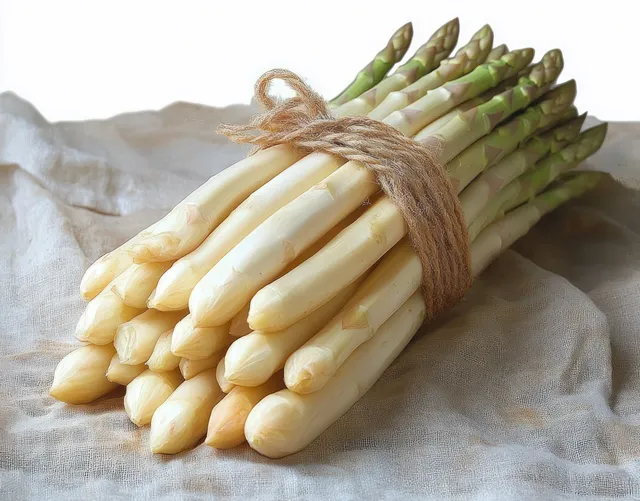 A bundle of white asparagus tied with twine lies on beige linen under soft natural light.
